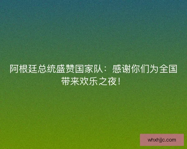 阿根廷总统盛赞国家队：感谢你们为全国带来欢乐之夜！